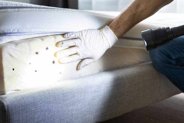 Best Pest Removal Services  in Humboldt Hill, CA