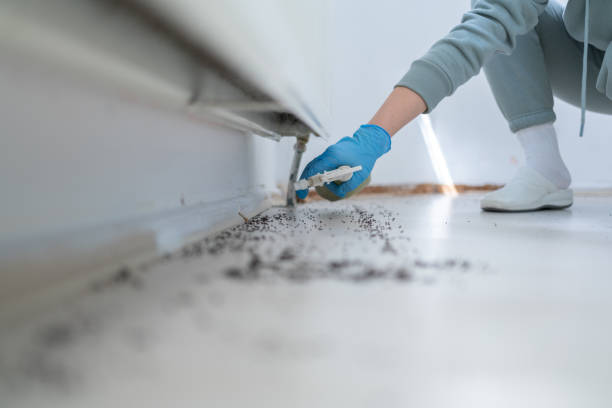 Best Mosquito Control Services  in Humboldt Hill, CA